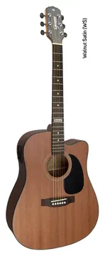 Giannini Folk GF-1D CEQ WS