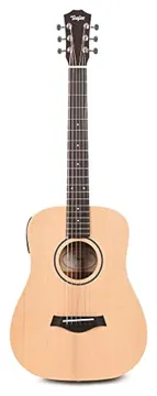 Taylor BT1e Walnut