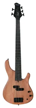 Tagima Contrabaixo Classic 5 XB-21 NT Natural