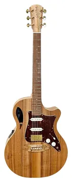Cole Clark An2Ec-Blbl-Hss Etui