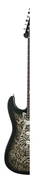 Fender Custom Shop Limited Edition 1968 Stratocaster Journeyman Relic Black Paisley #CZ586101