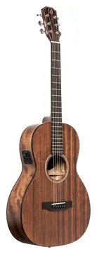 J.N JNDOVPFI Parlour Acoustic Guitar