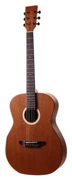 Rozini Custom Auditorium RX540 AT.FM.Case Pré-Fishman