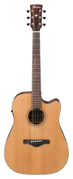 Ibanez AW65ECE-LG Natural Artwood