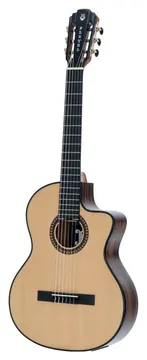 Pleyel P800CE Expression + Gigbag