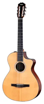 Taylor 212CE-N Plus Rosewood Spruce