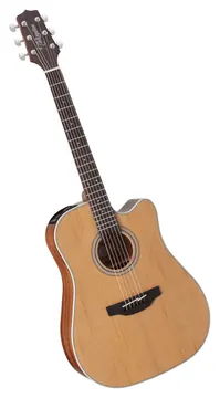 Takamine GD20CENS