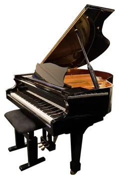Ludwig & Hoff Ludwig&Hoff 160 Disklavier Vleugel