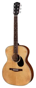 Eastman PCH2OM Orchestra Model