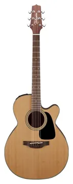 Takamine P1NC