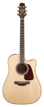 Takamine P4DC Dreadnought Cutaway