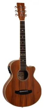 Tanglewood Reunion Pro 2 CE AW Walnut