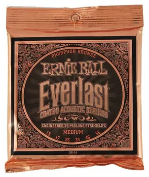 Ernie Ball 2544 Everlast Phosphor Bronze Medium | 013-056