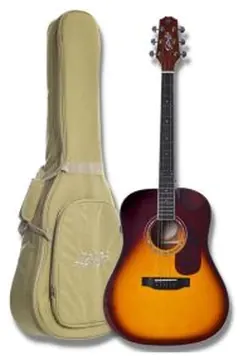 Seizi Neo Akira Kaizen Half Cutaway - Brown Burst com Bag