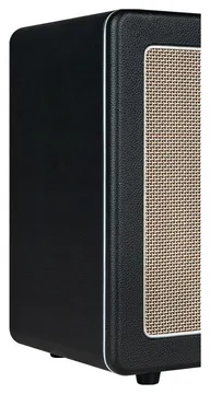 Mooer Hornet 30 I BK