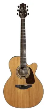 Takamine GSN1CE Natural