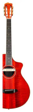 Breedlove Concertina Ce TB Vintage Ed.