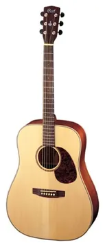 Cort E100 TF "earth" Guitare Folk Naturelle Satinee