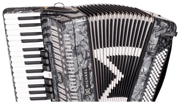 Michael Acordeon Michael 80 Baixos ACM8007N PBK