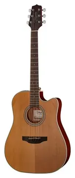 Takamine GD20CE-N