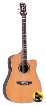 Strinberg Dublin DE55SC NT Folk
