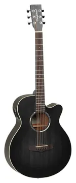 Tanglewood TWBB SFCE