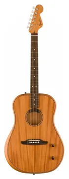 Fender Highway Series Dreadnought Mogno