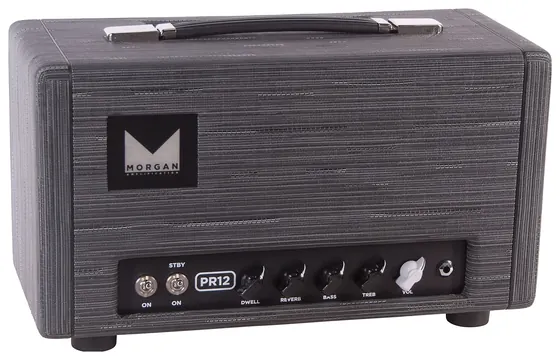 Morgan Amplification PR12 Head Twilight