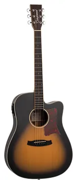 Tanglewood Winterleaf TW11 TS CE