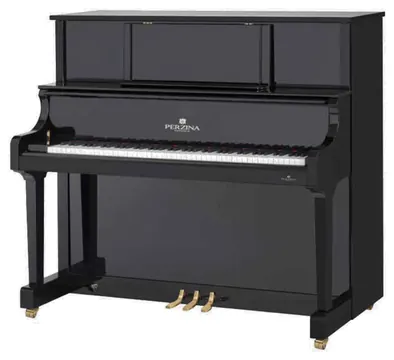 Perzina UP-130 Konzert Zwart Hoogglans