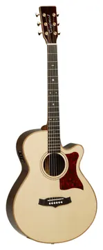 Tanglewood TW45HSRE