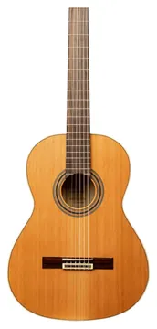 Ortega Traditional 4/4 + Pro-Gigbag