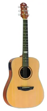Strinberg SR200 NS Small Folk