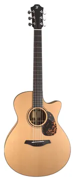Furch Blue Gc-CM Master's Choice With CNR Active Neck System
