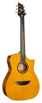 Cort Luxe II Natural Glossy Frank Gambale Signature