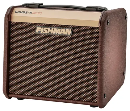Fishman PRO-LBT-400 Loudbox Micro 40Watt/5,25Zoll Akustikverstärker