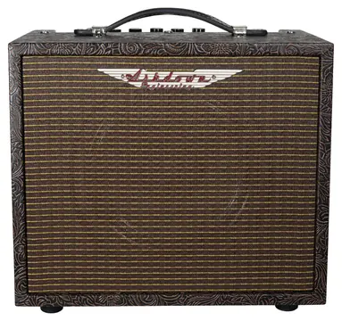 Combo para ASHDOWN WOODSMAN 25W