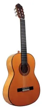 Esteve 5F Flamenca Epicea