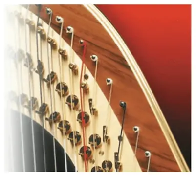 Bow Brand Pedal Natural Gut 4th Octave E=MI No.22