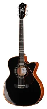 Harley Benton CLG-650SM-CE BK SolidWood