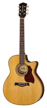 Richwood G-65CE VA Master Series