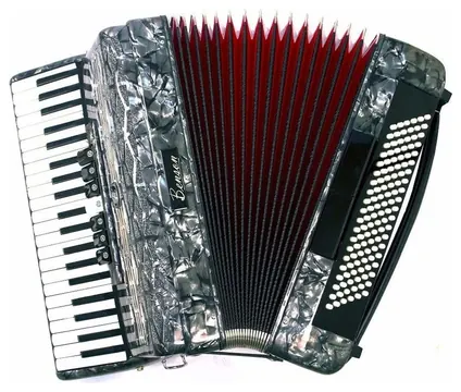 Benson Acordeon Benson Bac120-7Sbk 120 Baixos 7 E 2 Registros