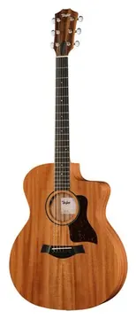 Taylor 24ce