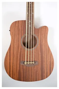 Gold Tone M-BASS25FL fretless