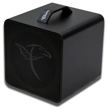 Falken1 Traveller Akustikgitarren-Amp