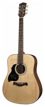 Richwood Linkshandige akoestische gitaar Richwood