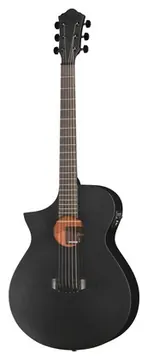 Ibanez AEWC621L-BOT