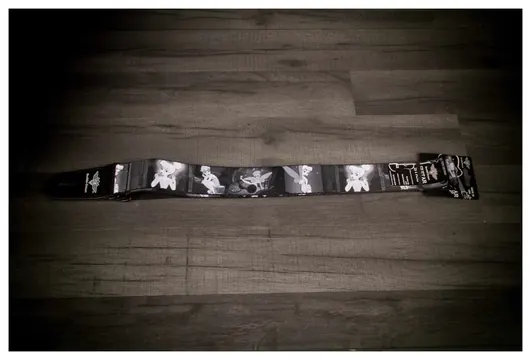 Buckle Down Tinkerbell Guitar Strap
