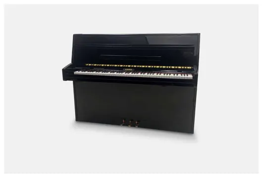 Scherer by Rippen 110 Zwart Hoogglans Piano