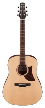 Ibanez Advanced Acoustic AAD100E - Open Pore Natural